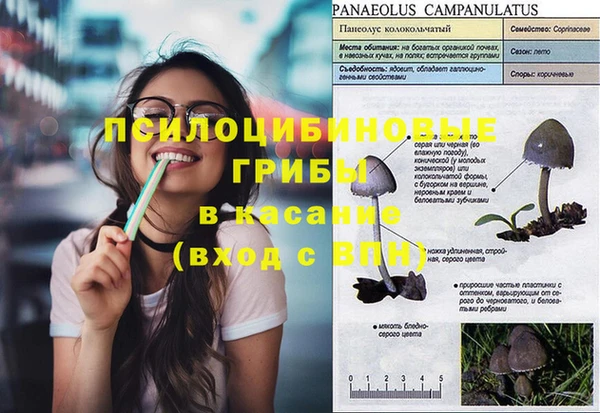 мяу мяу мука Баксан