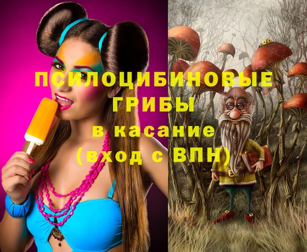 крисы Алексин
