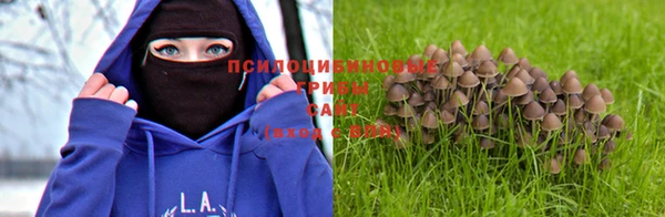 мяу мяу мука Баксан
